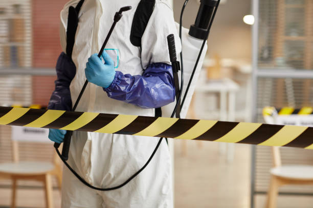 Professional Sewage Cleanup technician working in Ramsey, NJ